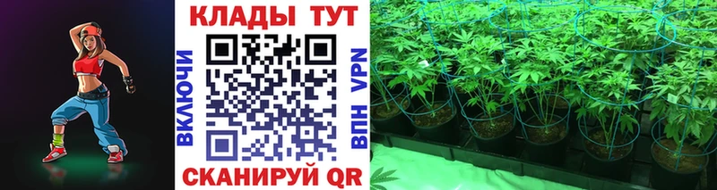 Где найти наркотики Новоржев КОКАИН  Экстази  МАРИХУАНА  СОЛЬ 