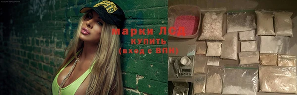 ГАЛЛЮЦИНОГЕННЫЕ ГРИБЫ Бородино