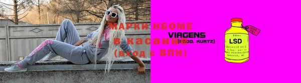 ГАЛЛЮЦИНОГЕННЫЕ ГРИБЫ Бородино