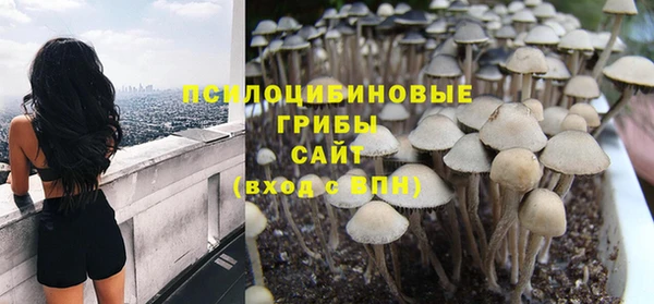 гидропоника Бронницы