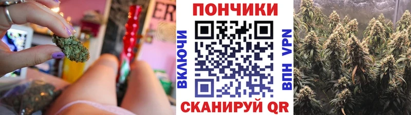 Каннабис сатива  Новоржев 